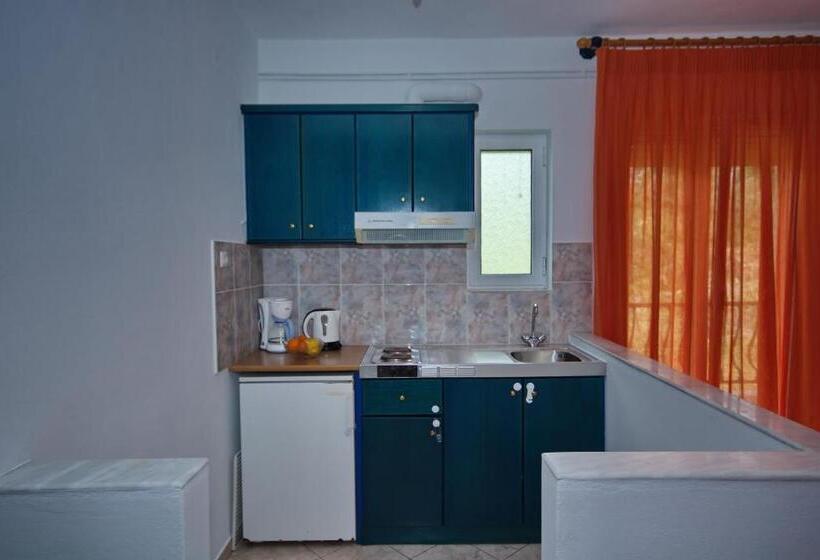آپارتمان 1 خوابه با چشم‌انداز دریا, Studios Nelli Alonissos