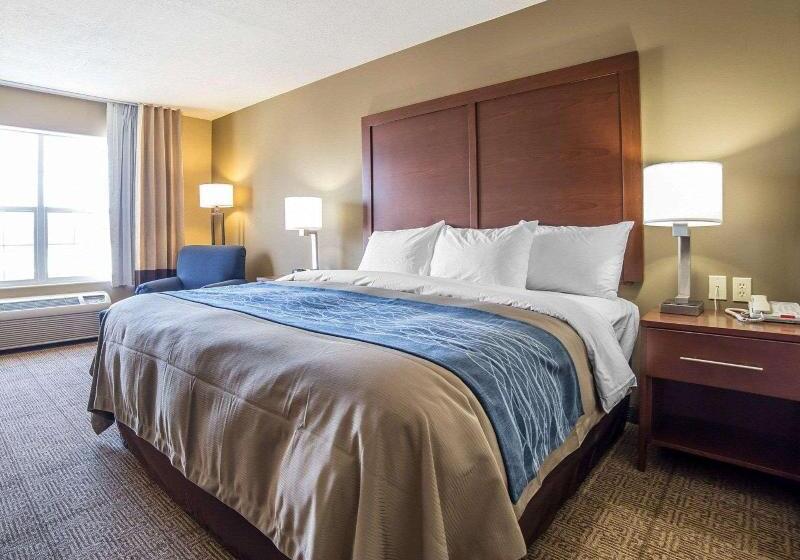 اتاق استاندارد با تخت بزرگ, Comfort Inn Saint George North
