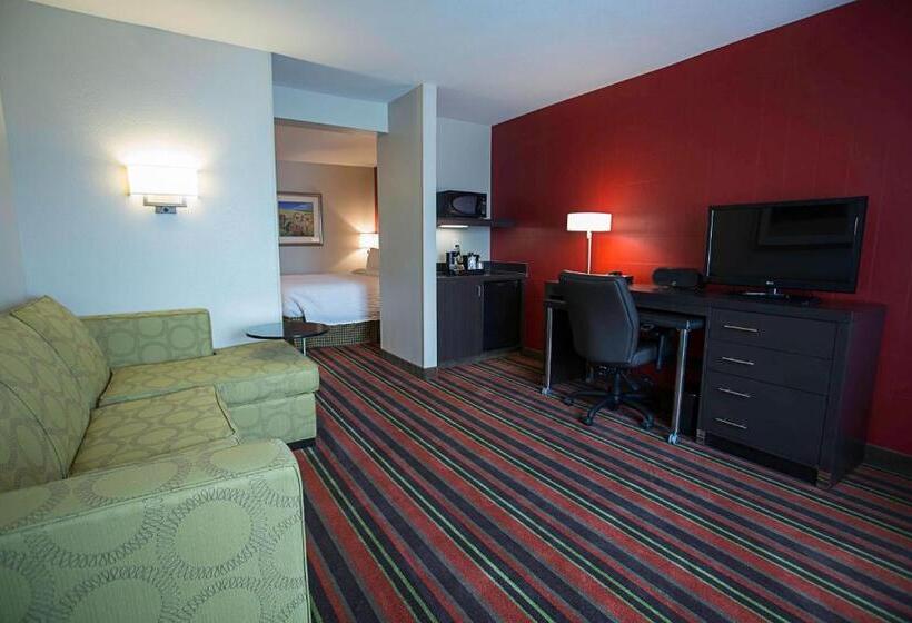 استودیو استاندارد با تخت کینگ, Fairfield Inn & Suites By Marriott Moscow