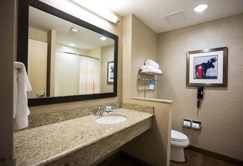 Standard Room, Fairfield Inn & Suites Moscow