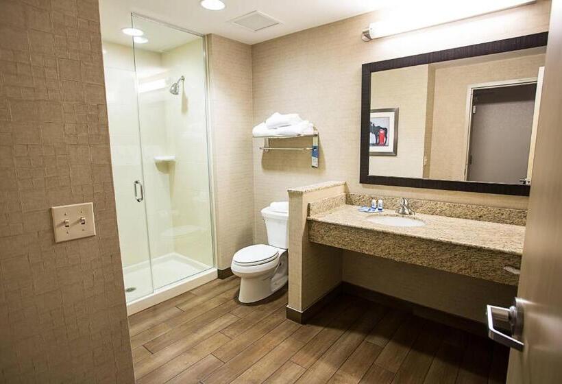 Habitació Estàndard Llit King, Fairfield Inn & Suites Moscow