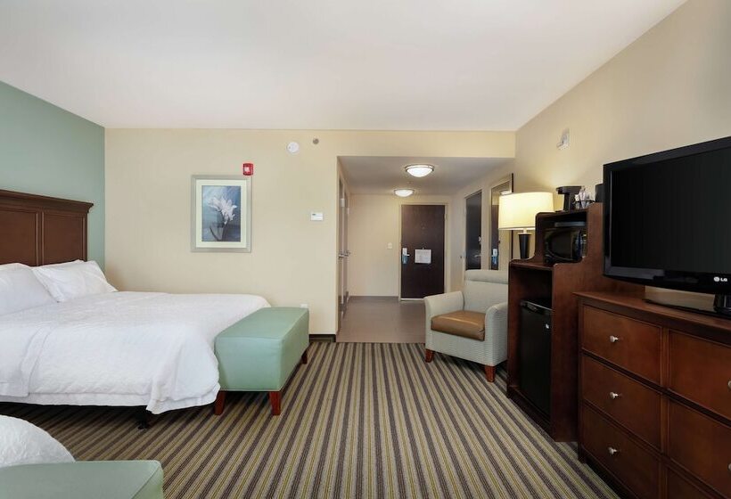 اتاق استاندارد با 2 تخت دوبل, Hampton Inn & Suites Adairsvillecalhoun Area