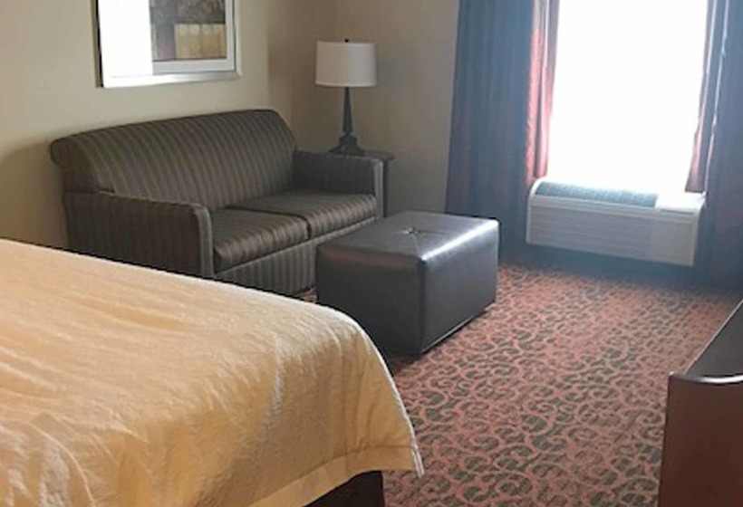 اتاق استاندارد با تخت دوبل برای معلولان, Hampton Inn Waynesburg