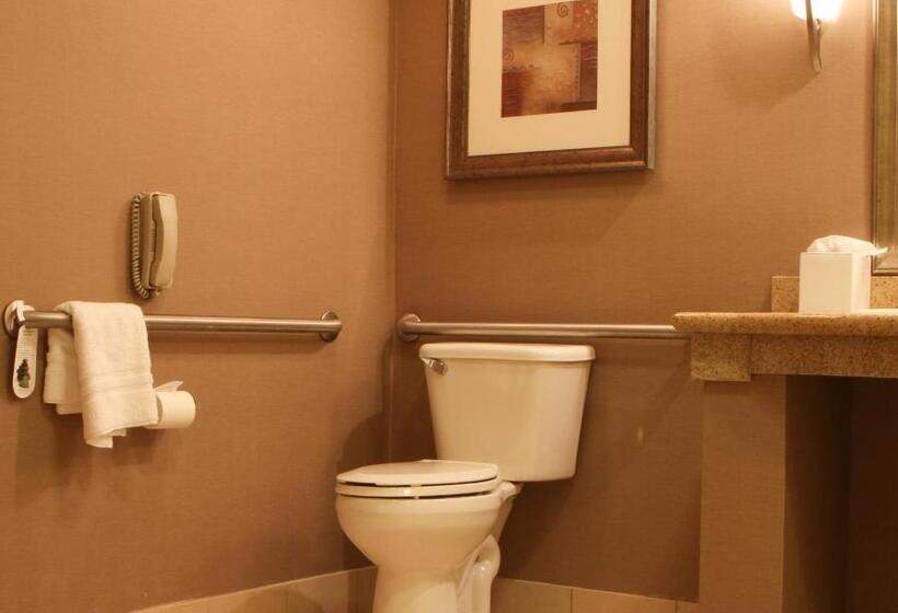 اتاق استاندارد با تخت بزرگ برای معلولان, Best Western Plus Bayside