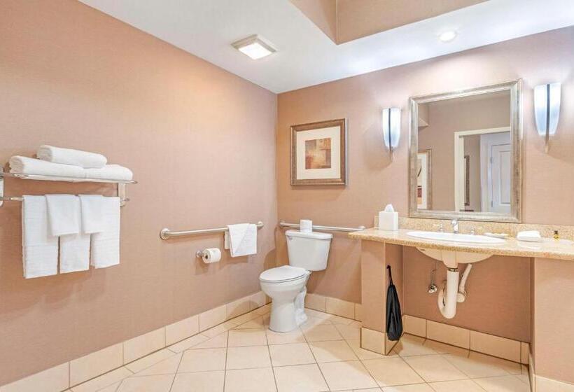 اتاق استاندارد با تخت بزرگ برای معلولان, Best Western Plus Bayside