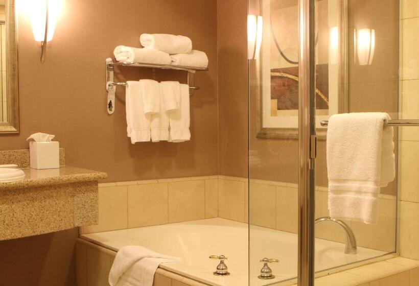 اتاق استاندارد با تخت بزرگ, Best Western Plus Bayside