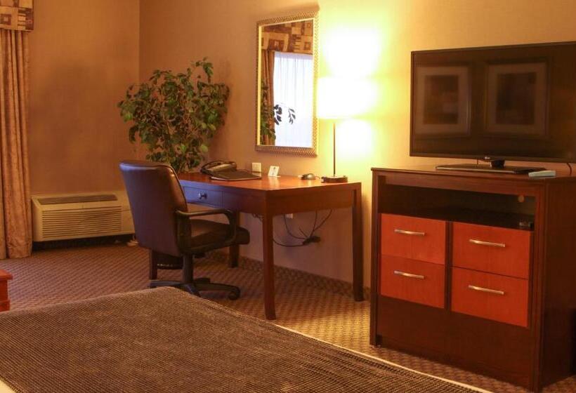اتاق استاندارد با تخت بزرگ, Best Western Plus Bayside