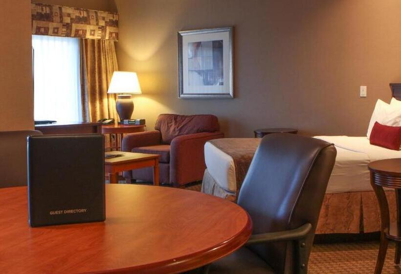 اتاق استاندارد با چشم‌انداز, Best Western Plus Bayside