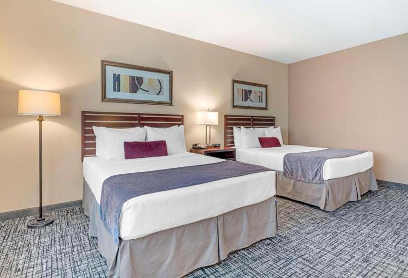اتاق استاندارد با چشم‌انداز شهر, Best Western Plus Bayside