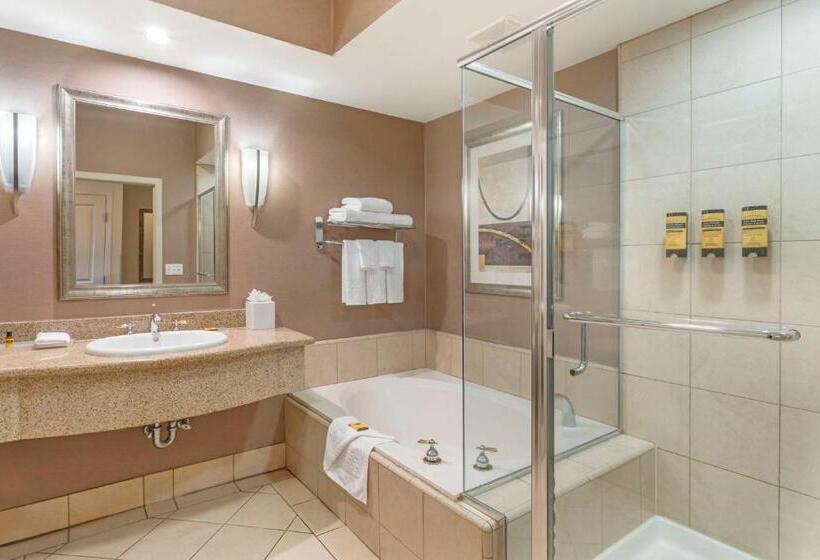 اتاق استاندارد با تخت بزرگ, Best Western Plus Bayside