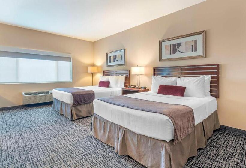 اتاق استاندارد با چشم‌انداز شهر, Best Western Plus Bayside