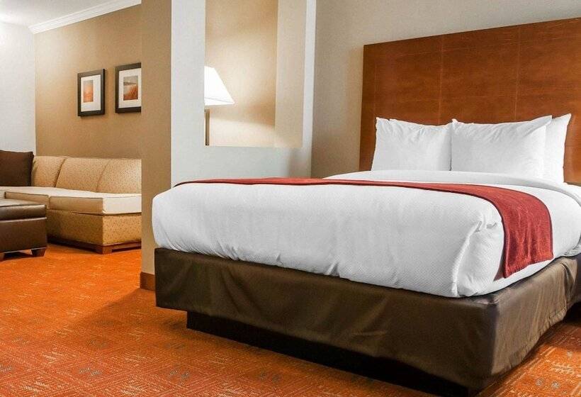 سوییت, Comfort Suites Farmington