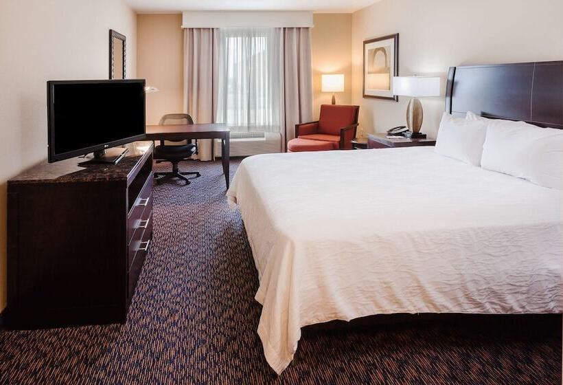 اتاق استاندارد با تخت بزرگ, Hilton Garden Inn Midland