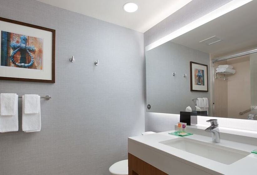اتاق استاندارد با تخت دو نفره بزرگ, Hyatt Place Chicago South/university Medical Center