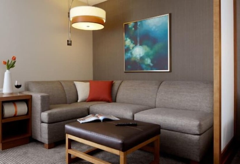 اتاق استاندارد با تخت دو نفره بزرگ, Hyatt Place Chicago South/university Medical Center
