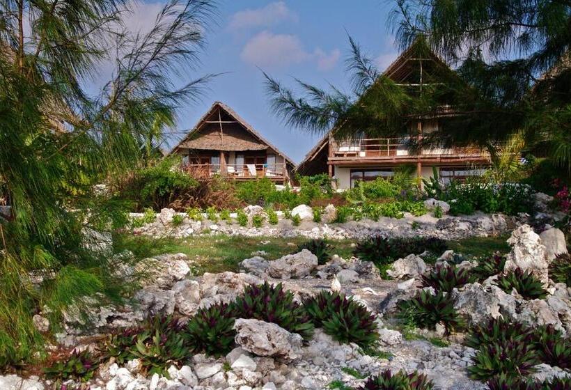 سوییت با چشم‌انداز دریا, Sunshine Marine Lodge