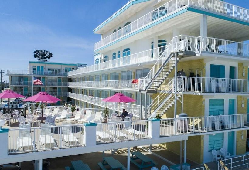 سوییت خانوادگی, Paradise Oceanfront Resort
