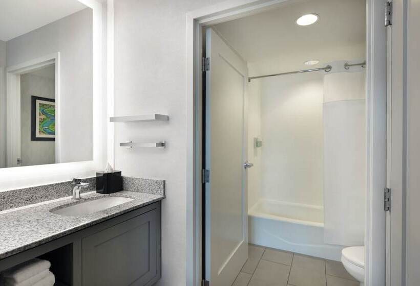 Suite, Residence Inn By Marriott Boston Back Bay/fenway
