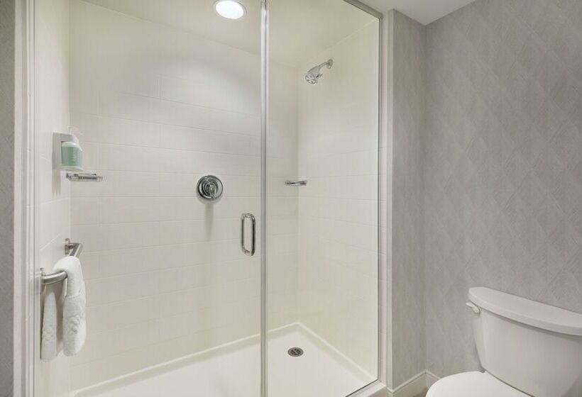 Suite, Residence Inn By Marriott Boston Back Bay/fenway