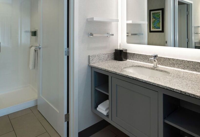 Suite, Residence Inn By Marriott Boston Back Bay/fenway