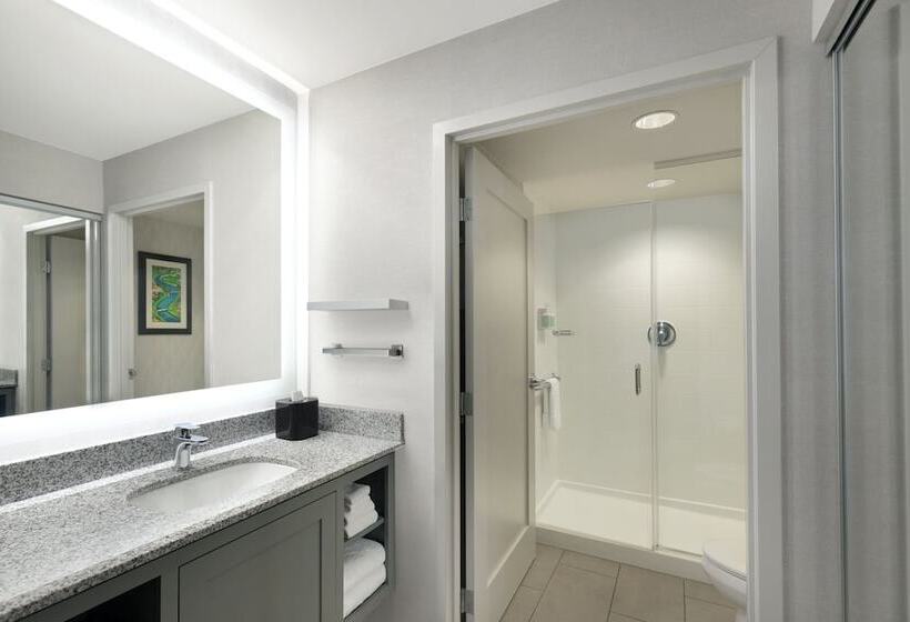 Suite, Residence Inn By Marriott Boston Back Bay/fenway