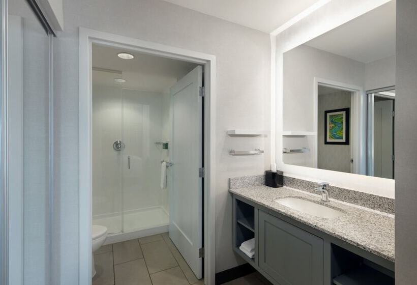Estudio Estándar Cama Matrimonio, Residence Inn By Marriott Boston Back Bay/fenway