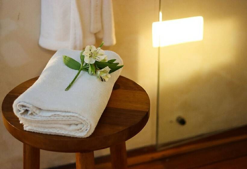 اتاق لوکس چهار تخته, Casa De Las Palomas Boutique Hotel By Paloma S Hotels   Adults Only