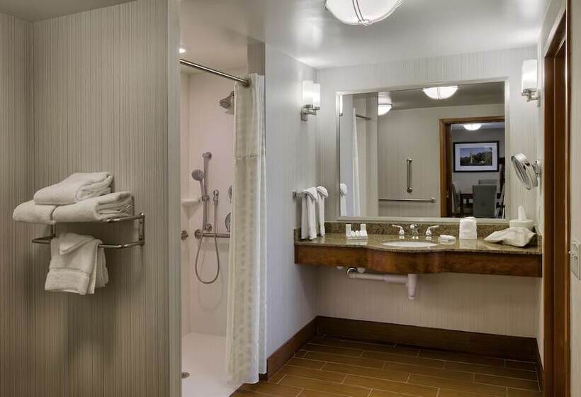 اتاق استاندارد برای معلولان, Hilton Garden Inn Durham/university Medical Center
