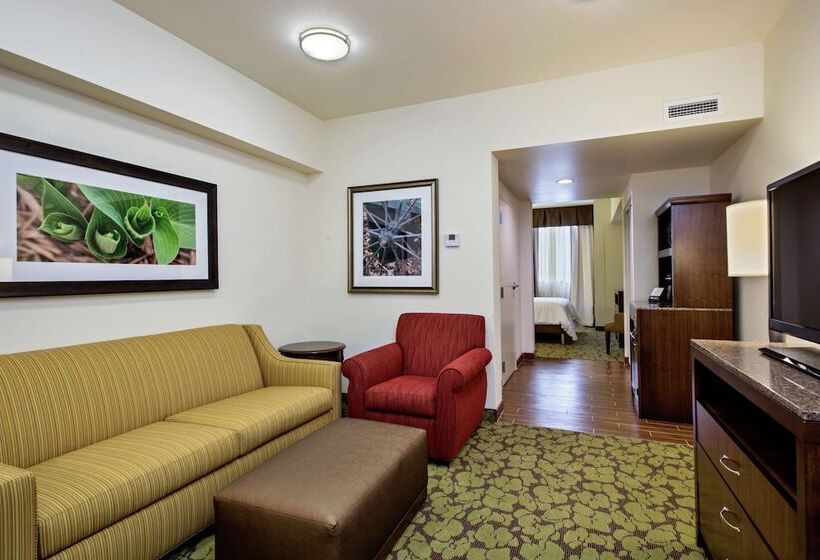 اتاق استاندارد با تخت دوبل, Hilton Garden Inn Lincoln Downtown Haymarket