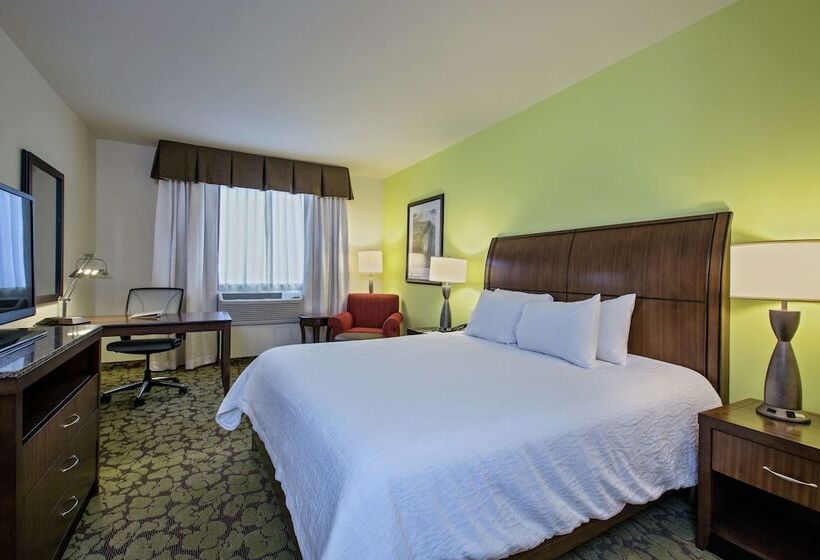 اتاق استاندارد با تخت دوبل برای معلولان, Hilton Garden Inn Lincoln Downtown Haymarket