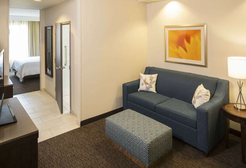 سوییت جونیور, Hilton Garden Inn Sioux Falls Downtown