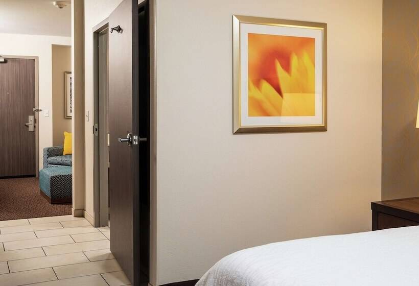 سوییت جونیور, Hilton Garden Inn Sioux Falls Downtown