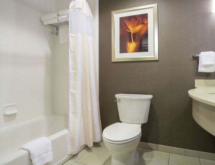 اتاق استاندارد با 2 تخت دوبل, Hilton Garden Inn Sioux Falls Downtown