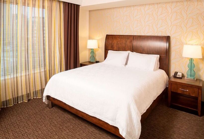 اتاق استاندارد با تخت دوبل, Hilton Garden Inn Sioux Falls Downtown
