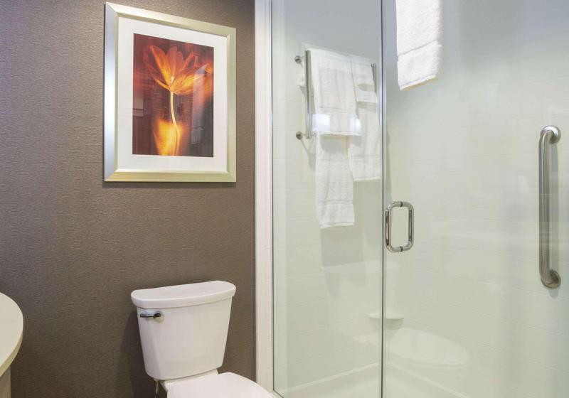 اتاق استاندارد با تخت بزرگ, Hilton Garden Inn Sioux Falls Downtown