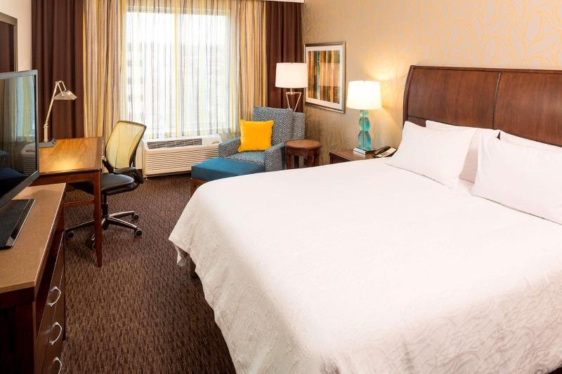 اتاق استاندارد با تخت بزرگ, Hilton Garden Inn Sioux Falls Downtown