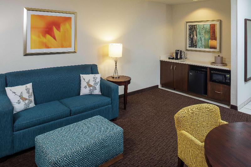 سوئیت با تخت بزرگ, Hilton Garden Inn Sioux Falls Downtown