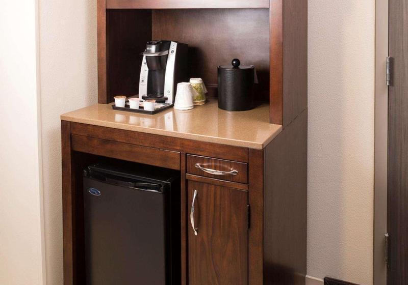 سوئیت با تخت بزرگ, Hilton Garden Inn Sioux Falls Downtown