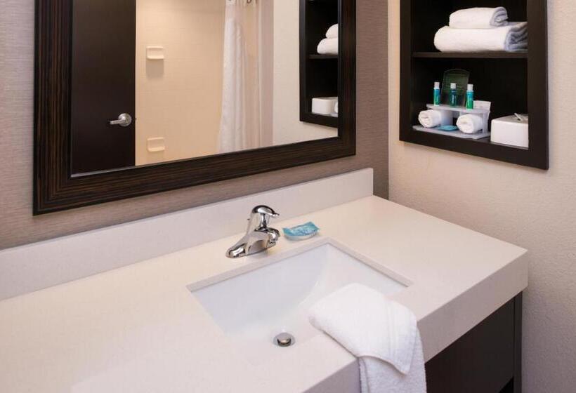اتاق استاندارد با تخت بزرگ, Holiday Inn Express & Suites Monroe, An Ihg
