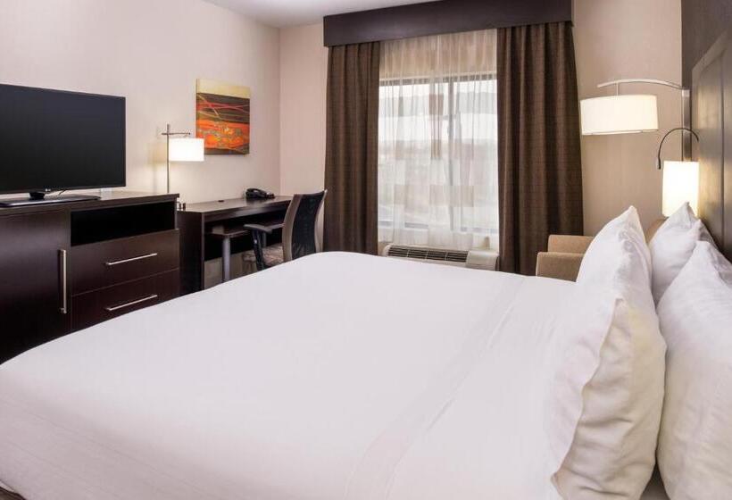 اتاق استاندارد با تخت بزرگ, Holiday Inn Express & Suites Monroe, An Ihg