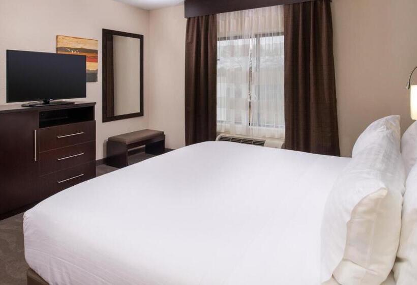 اتاق استاندارد با تخت بزرگ برای معلولان, Holiday Inn Express & Suites Monroe, An Ihg