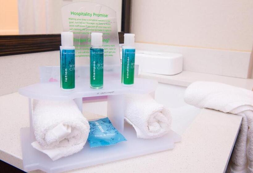 اتاق استاندارد با تخت بزرگ برای معلولان, Holiday Inn Express & Suites Monroe, An Ihg