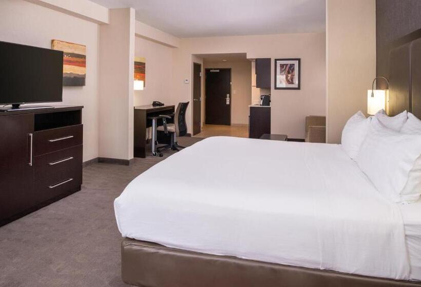 Suite met Kingsize Bed, Holiday Inn Express & Suites Monroe