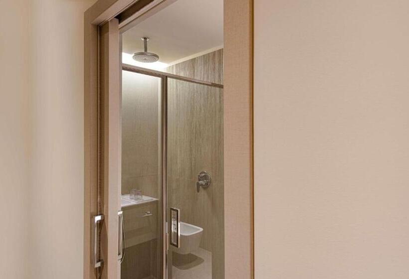 سوییت دوبلکس, Hyatt Centric Murano Venice