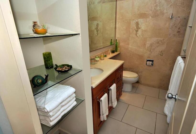 استودیوی استاندارد, Marina Banderas Suites
