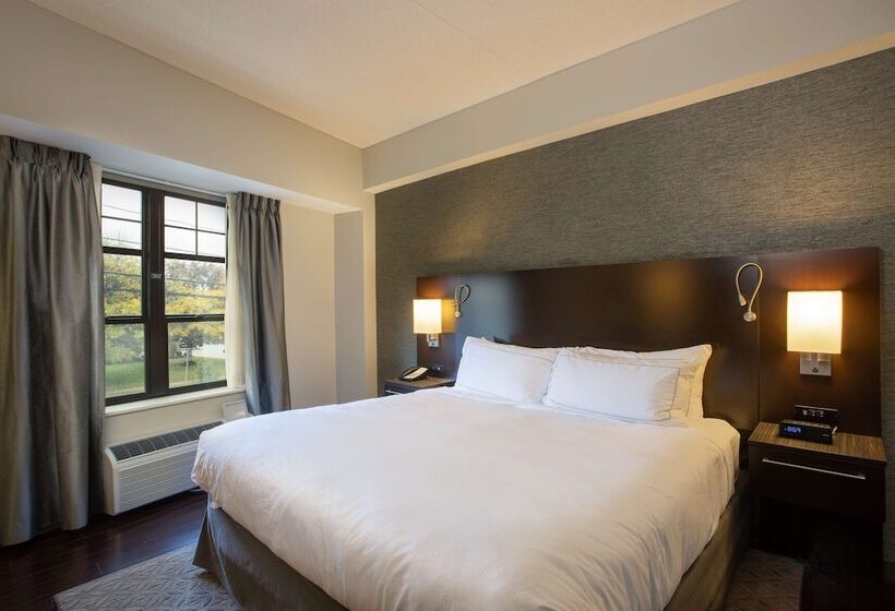 سوییت, The Mosey Buffalo Williamsville, Tapestry Collection By Hilton