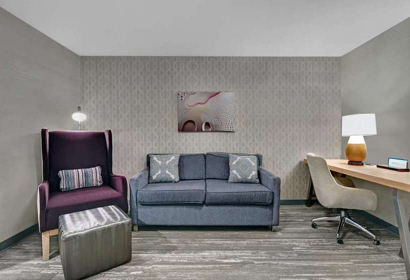 سوییت, The Mosey Buffalo Williamsville, Tapestry Collection By Hilton
