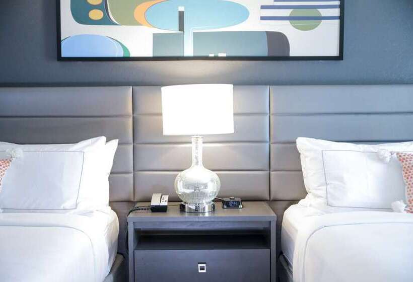 سوییت, The Mosey Buffalo Williamsville, Tapestry Collection By Hilton