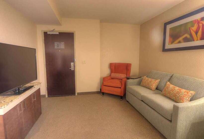 سوییت, The Mosey Buffalo Williamsville, Tapestry Collection By Hilton