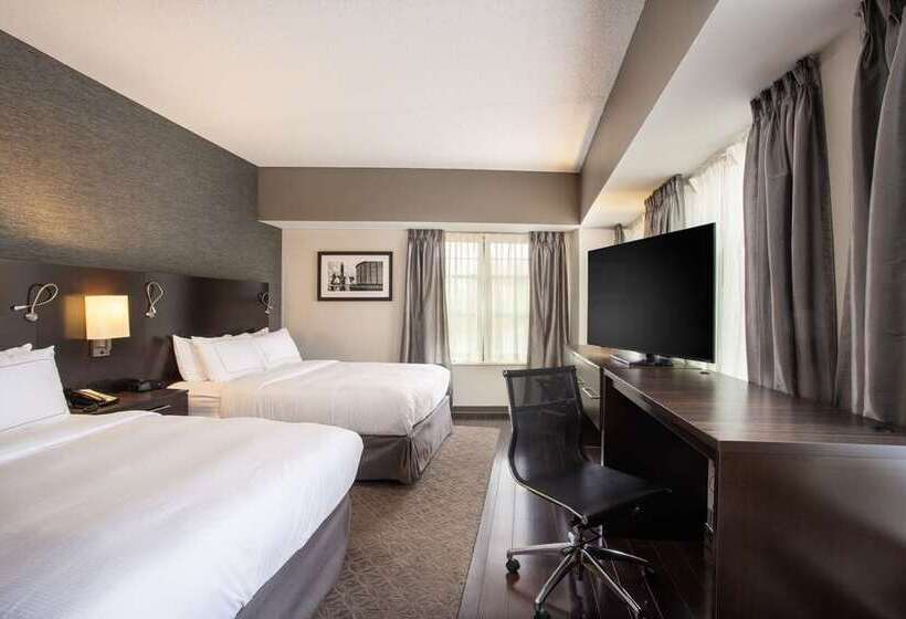 سوییت, The Mosey Buffalo Williamsville, Tapestry Collection By Hilton